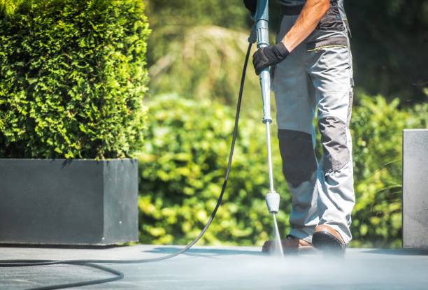 Best Pool Deck Cleaning  in Johnson City, NY