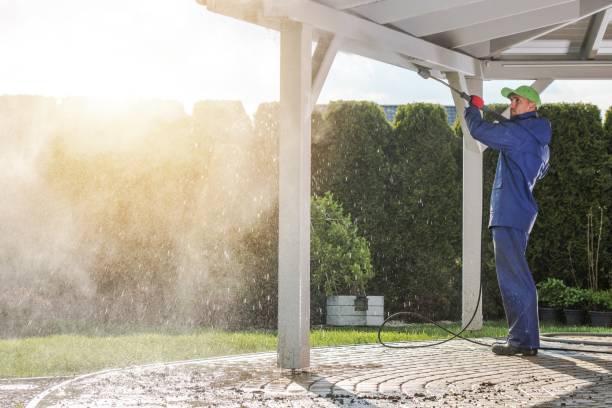 Best Patio and Deck Pressure Washing  in Johnson City, NY