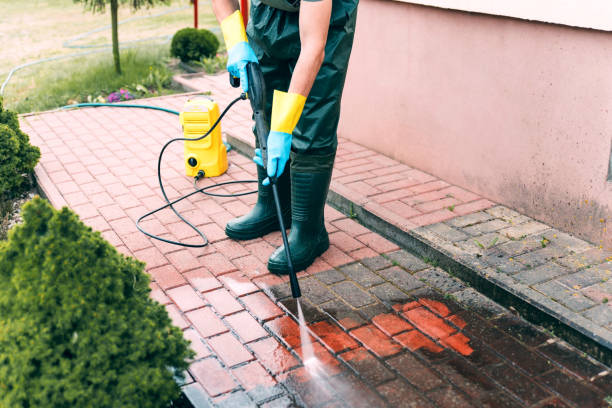 Best Parking Lot and Garage Cleaning  in Johnson City, NY