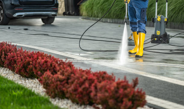 Best Sidewalk and Walkway Cleaning  in Johnson City, NY