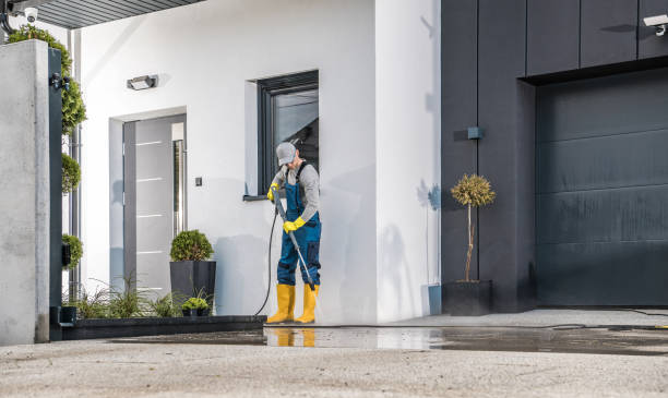Best Animal Enclosure Cleaning  in Johnson City, NY